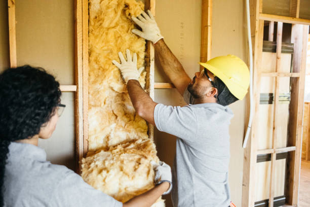 Professional Insulation in Redmond, WA